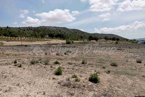 Helårsgrund i Yecla, Murcia, Yecla - € 25.000 | Ref: SF0457 - foto 6